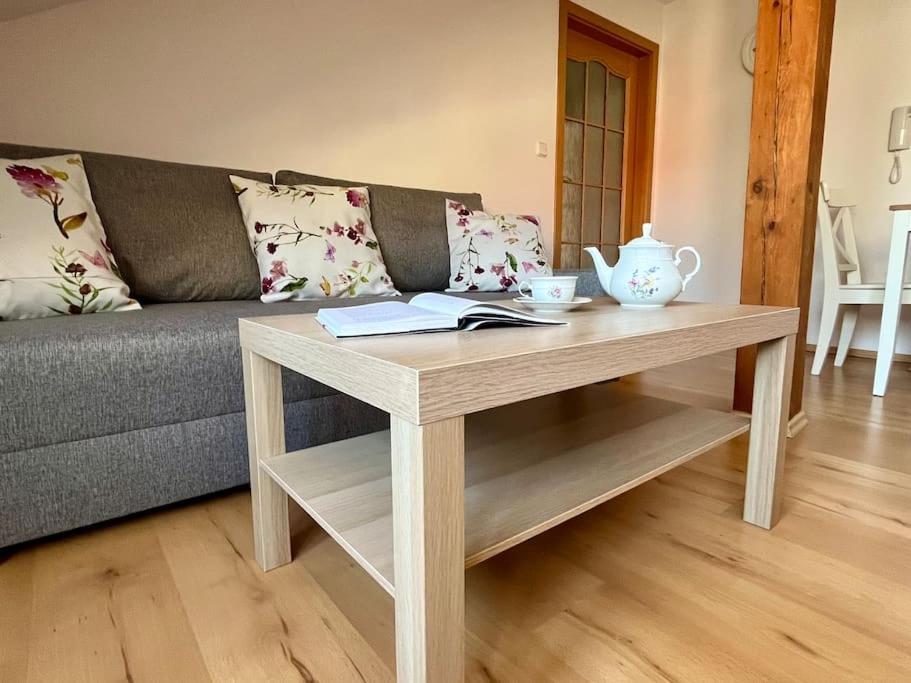 Apartman Terasa U Kolonady Διαμέρισμα Poděbrady Εξωτερικό φωτογραφία